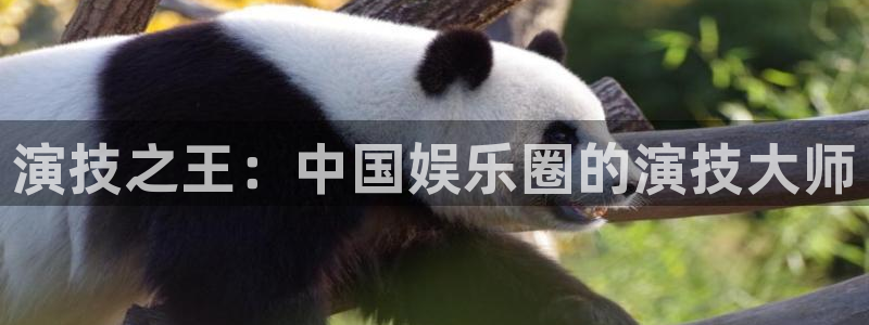 星空娱乐二维码图片怎么弄：演技之王：中国娱乐圈的演技大师