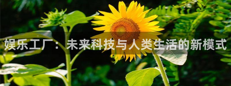 星空娱乐网址：娱乐工厂：未来科技与人类生活的新模式