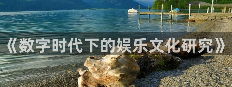 星空娱乐网：《数字时代下的娱乐文化研究》
