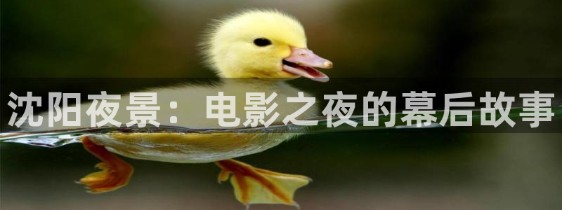 星空娱乐app下载安装：沈阳夜景：电影之夜的幕后故事