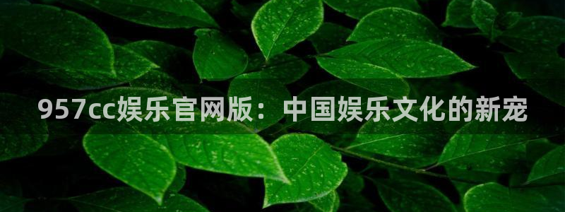 星空娱乐传媒：957cc娱乐官网版：中国娱乐文化的新宠