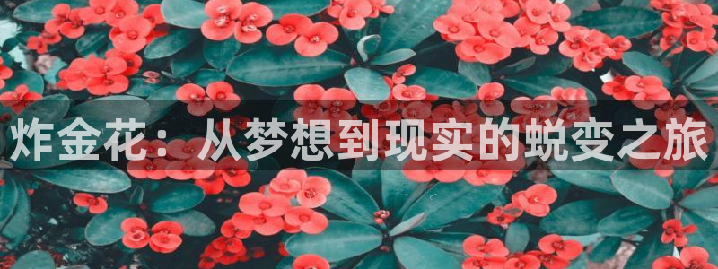 星空娱乐-应用详情：炸金花：从梦想到现实的蜕变之旅