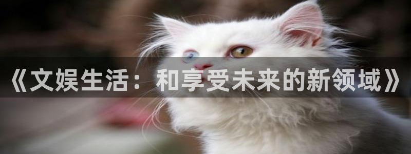 星空娱乐官网版：《文娱生活：和享受未来的新领域》