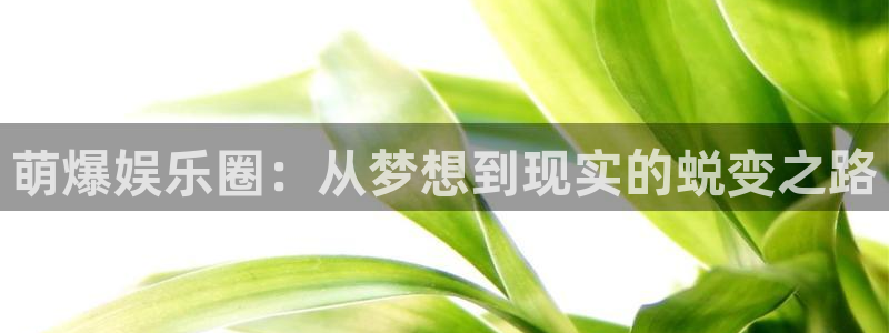 星空娱乐：萌爆娱乐圈：从梦想到现实的蜕变之路