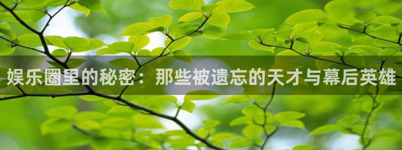 93299星空娱乐：娱乐圈里的秘密：那些被遗忘的天才与幕后英雄