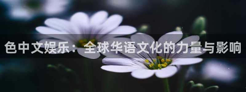 星空娱乐在线：色中文娱乐：全球华语文化的力量与影响