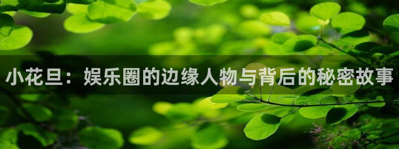 星空娱乐93299尊享版：小花旦：娱乐圈的边缘人物与背后的秘密故事