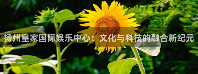 93299星空娱乐最新网址：扬州皇家国际娱乐中心：文化与科技的融合新纪元