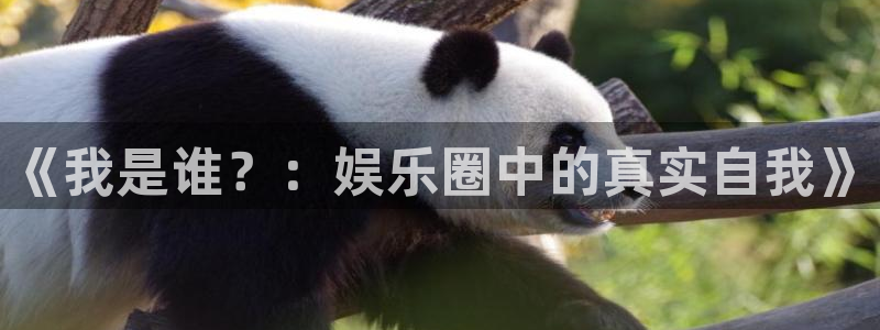 下载星空娱乐：《我是谁？：娱乐圈中的真实自我》