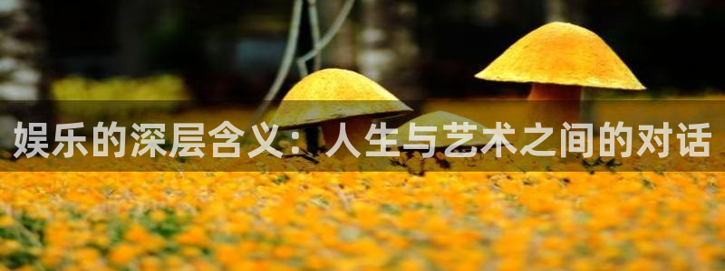 下载星空娱乐：娱乐的深层含义：人生与艺术之间的对话