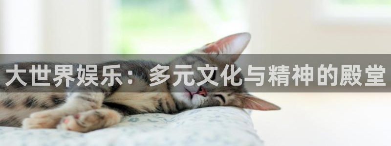 星空娱乐网址：大世界娱乐：多元文化与精神的殿堂
